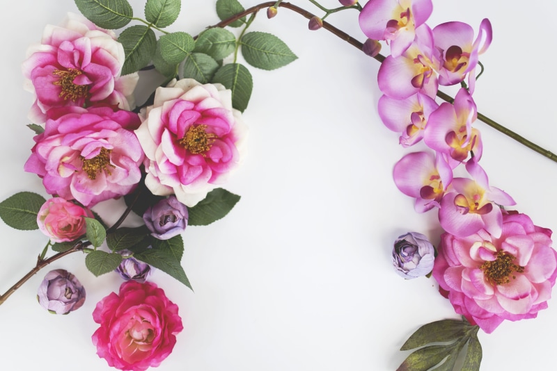 petaled, bunch of flowers, rose - flower, bouquet, flowering plant, white roses, fragility, nature, plant, flower Head, flowers, flower, freshness, no people