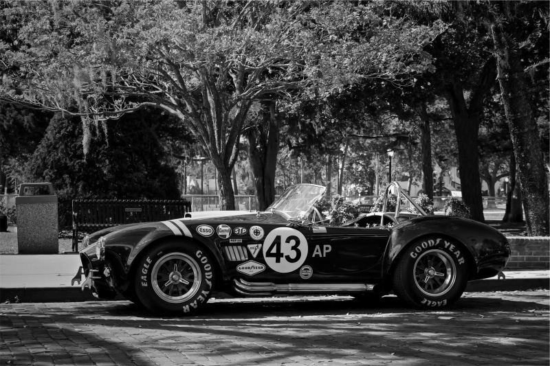 plant, branch, 1080P, car, oldschool, street, convertible, classic, grayscale, trunk, scale, photo, no people, mode of transportation, Cobra, tires, day