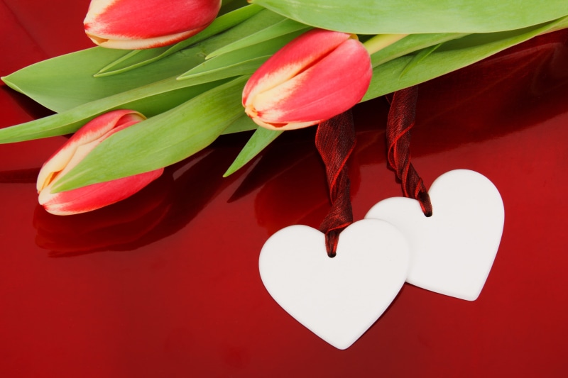 marriage, hear, nature, positive emotion, day, anniversary, vulnerability, holiday, romance, creativity, cutouts, blossom, petal, valentine, 4K, heart shape