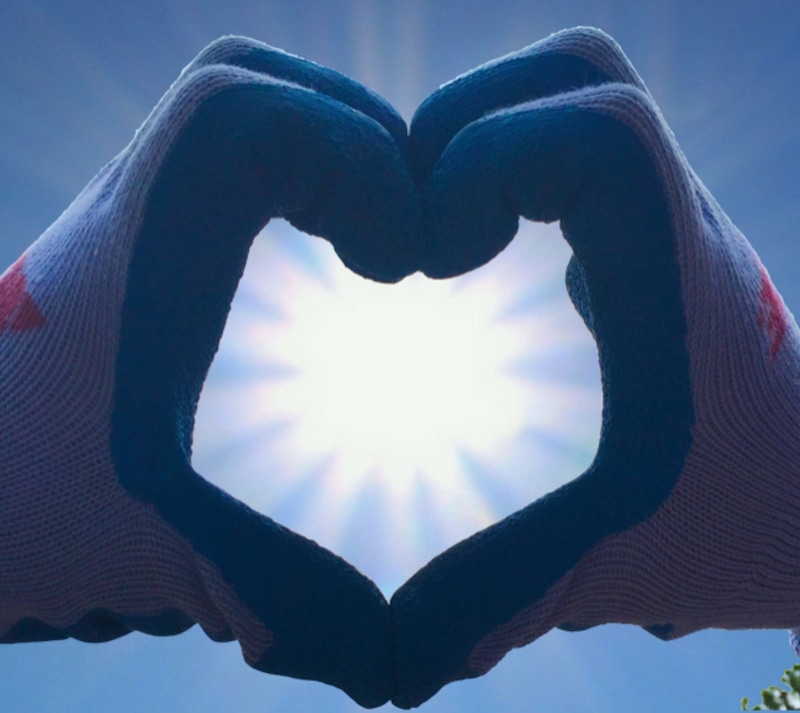 community, outdoors, design, Donation, sign, emotion, helping, heart shape, human, nature, love, charity, together, blue, holding, service, 1080P, positive emotion