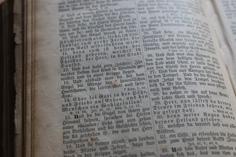 western script, 5K, jesus, white, christ, Bible, church, education, selective focus, new testament, christian, indoors, angel, book, religion, god, message