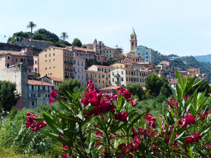 no people, travel destinations, europe, nerium, italy france, petaled, north italy, city view, cathedral santa maria assunta, roofs, growth, residential district