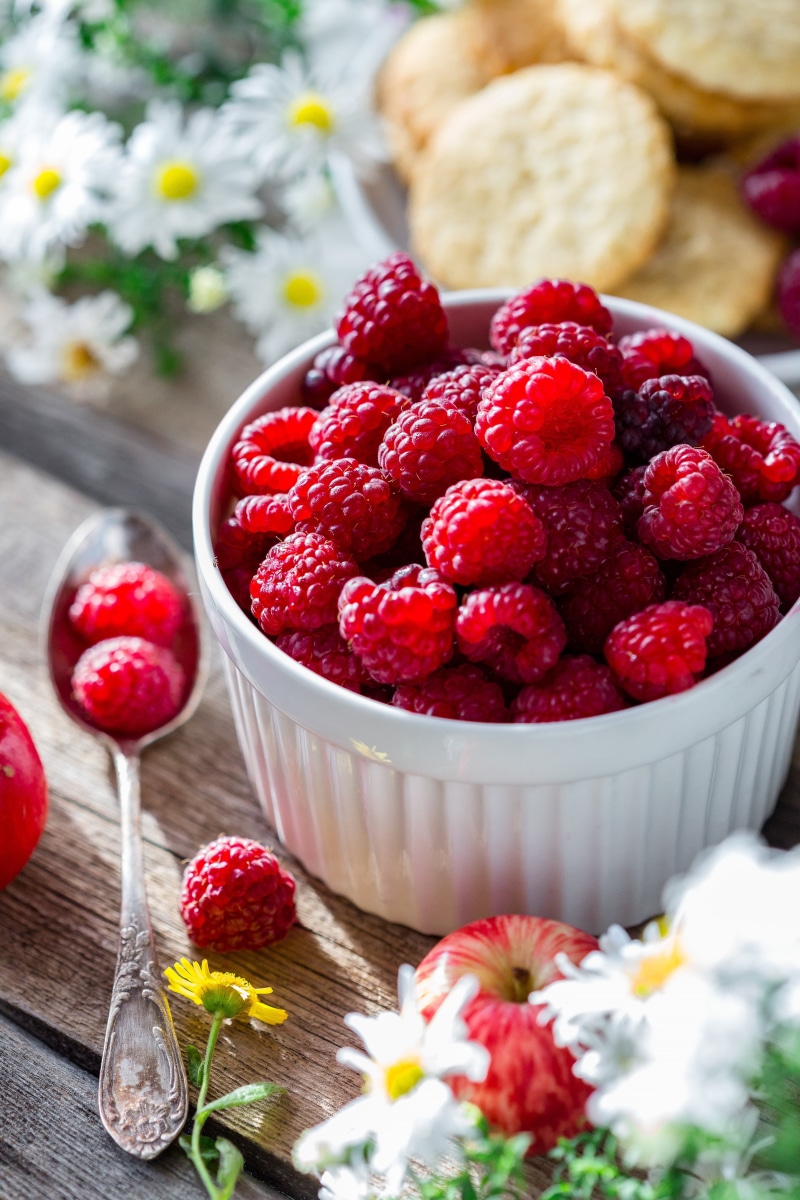 no people, sun, focus on foreground, table, flowering plant, 5K, wellbeing, fruit, dacha, dessert, plate, morning, sweet food, indulgence, harvest, food