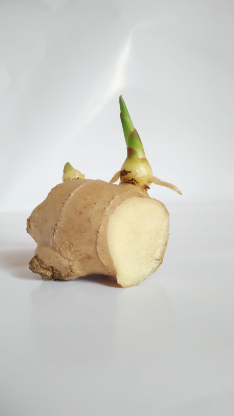 high angle view, no people, wellbeing, food and drink, apple - fruit, single object, fruit, indoors, 4K, pear, missing bite, studio shot, close-up, Germination