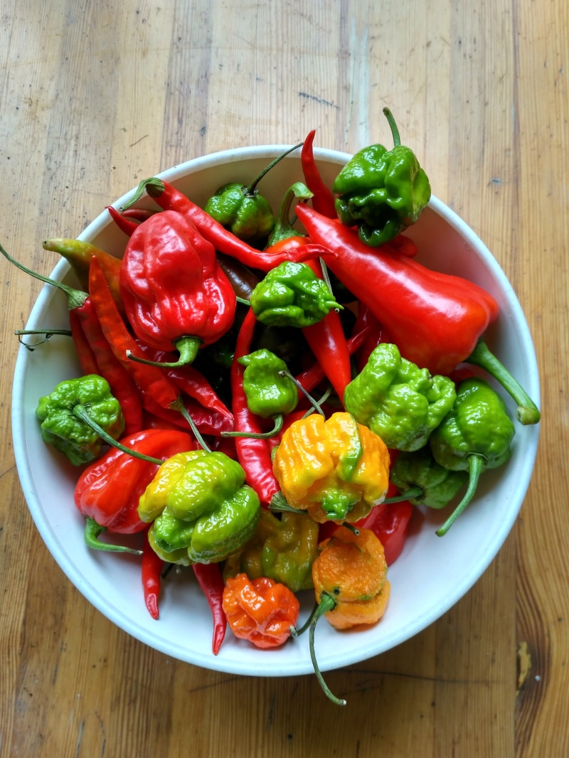 vegetable, healthy eating, directly above, red chili pepper, peppers, 4K, bowl, hot pepper, table, chili, wood - material, no people, assorted, high angle view