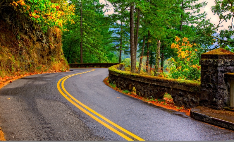 gray, uSA, non-Urban Scene, park - Man Made Space, woodland, journey, travel, nature, no People, 4K, leaf, yellow, outdoors, green Color, autumn, transportation
