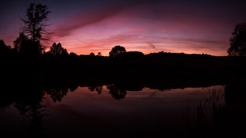 8k, red sky, cloud, darkness, dusk, water, sunset, nature, sky, evening, afterglow, reflection, 8k uhd, tree, 8K