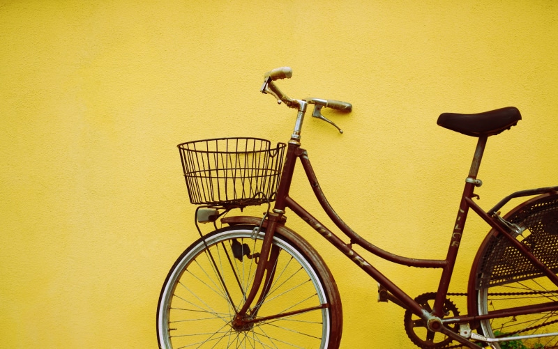 female, basket, land vehicle, no people, 5K, bicycle, park, beach, nature, wall - building feature, vintage, absence, bicycle basket, leaning, beside