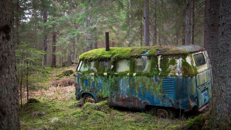 mossy, 1080P, ruin, volkswagen, grass, pine, covered, forest, old car, tree, decaying, vehicle, vintage, wreck, abandoned, bus, moss, woodland, foliage