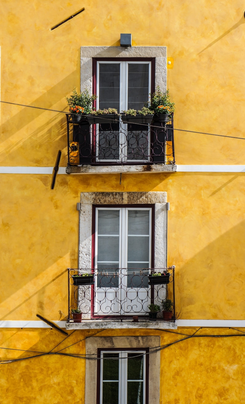 cultures, window, europe, building, day, residential Building, old, town, yellow, door, plant, residential district, concrete, urban Scene, built Structure