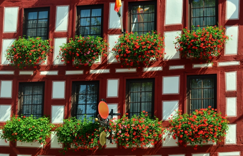 concrete, growth, flowering plant, balcony, white, truss, plant, gardening, petaled, flowerbed, geranium, fachwerkhaus, vulnerability, potted plant, facade