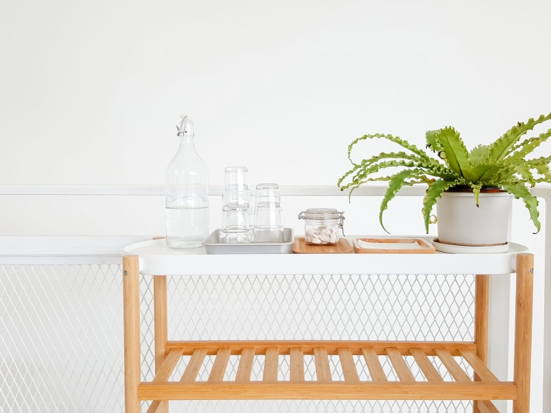 water, refreshment, plant, concept, wood - material, jar, clean, fresh, modern, drink, pure, shelf, potted plant, indoor, beverage, glass - material, cold