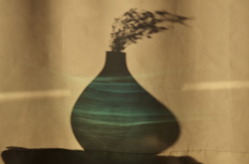 plant, day, blurred motion, nature morte, selective focus, curtain, decoration, deformation, vase, reflection, still life, simplicity, wall - building feature