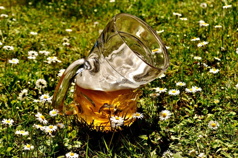 beer mug, glass - material, day, land, growth, brow, green color, bent, 5K, bavaria, trueb, liquid, outdoors, nature, Deformed, prost, wheat, mug, metal