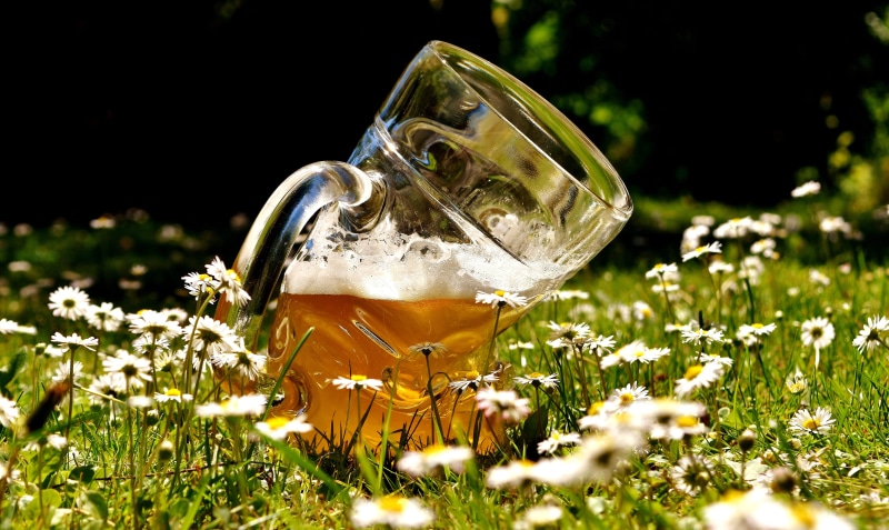 beer garden, glass mug, beer mug, freshness, flowers, vulnerability, drink, brow, Beer Glass, Deformed, day, bent, liquid, field, mug, food and drink, brewery