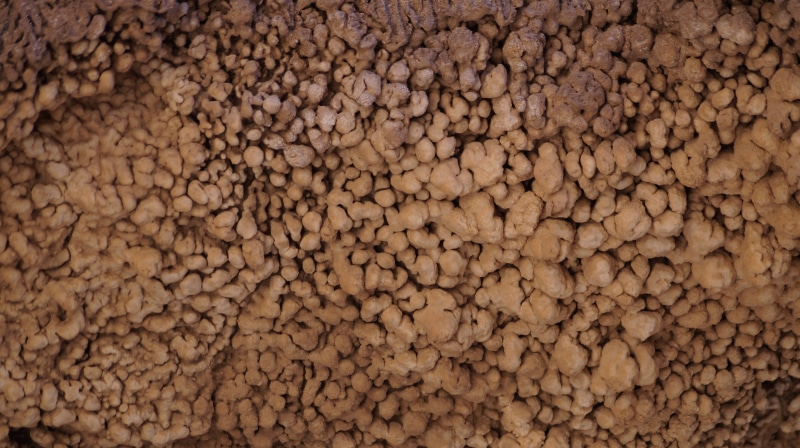 raw food, valley of the moon, brown, close-up, full frame, earth, day, high angle view, deformation, food, textured, no people, nature, 2K, vegetable