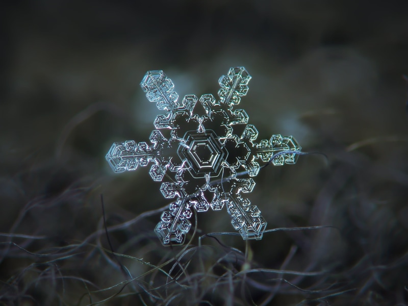 wool, abstract, single, natural, fibers, macro, ice, crustal, light, dark  blue, magnified, water, weather, star, design, rare, solid, glitter, hexagon