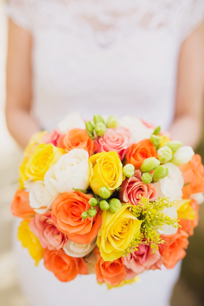 rose, autumn, photography, beauty in nature, styled, togetherness, rustic, bouquet, hand, human Hand, wedding, dress, holding, event, love, woman, sleeved