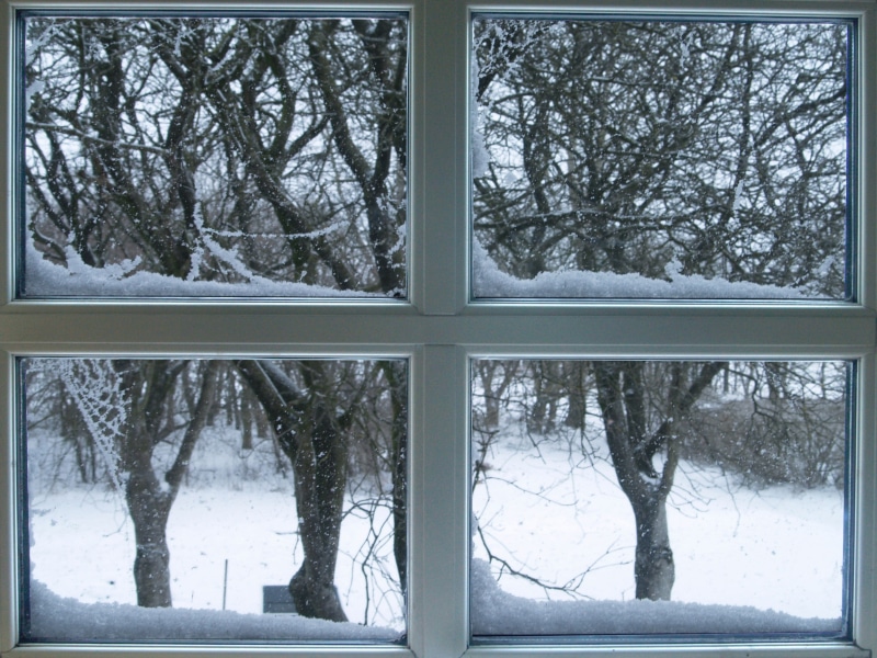 white color, no people, tree, lattice windows, frozen, forest, snow, plant, cold temperature, nature, day, 2K, branch, window frame, snowing, window, outdoors