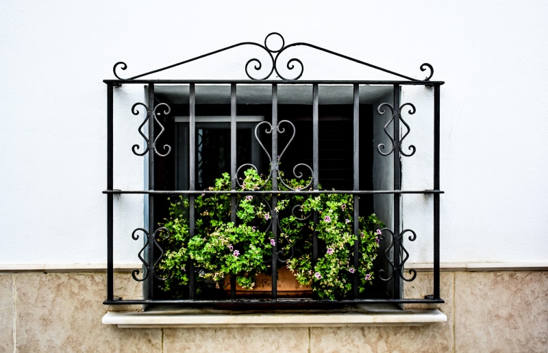 wall - building feature, wood - material, window, growth, plant, green color, building, built structure, green, metal, outdoors, facade, no people, lattice