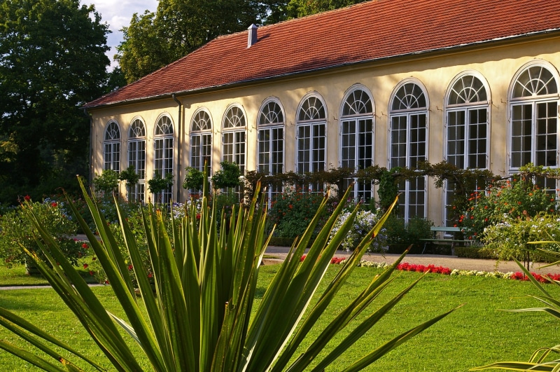 plant, fairytale, building exterior, gardening, tree, flowering plant, garden, front or back yard, mood, yucca palm, summer, flowerbed, beautiful, arched windows