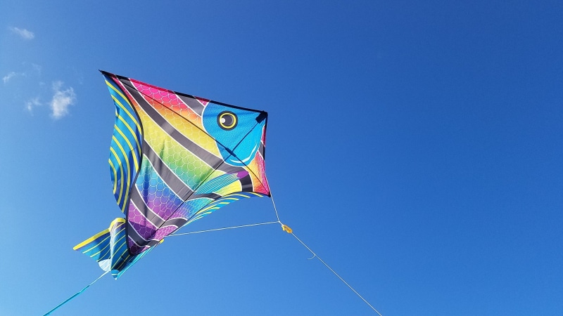 flag, mid-air, daytime, summer, streamer, Florida, environment, kite - Toy, sport, clear sky, wind, outdoors, fun, day, vibrant color, copy space, no people