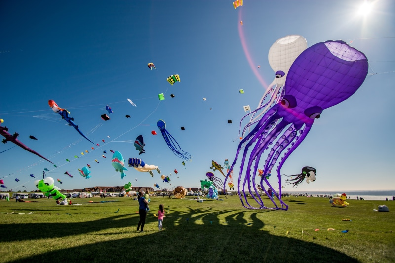 multi colored, beach, men, environment, mid-air, grass, clear sky, fun, balloon, enjoyment, kite - toy, sky, childhood, north sea, wind, freedom, 5K, sunlight