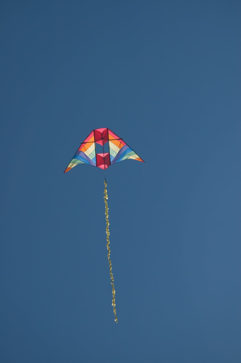 mid-air, fly, motion, low angle view, sunny, blue, sky, no people, kite, wind, flying, autumn, kite - toy, copy space, environment, nature, fall, sunlight