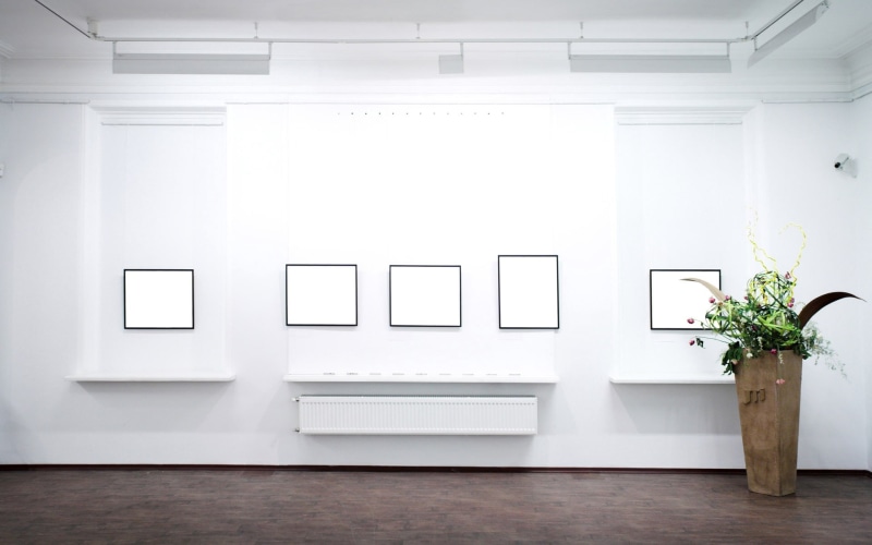 flooring, 1080P, window, art Museum, blank, museum, furniture, leafed, frame, backgrounds, wall, lant, potted, green, empty, model - Object, poster, style