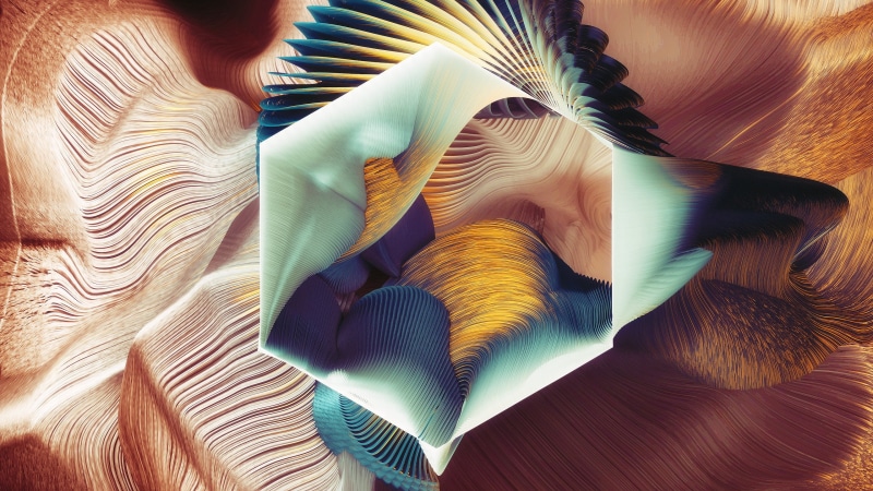 2K, Plumes, Square