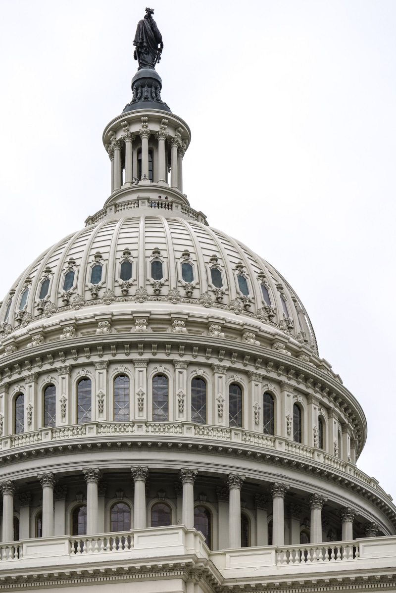 cities, neo-classical, day, stairs, dome, white, america, symbol, international, congress, politics, building, exterior, american, us capitol, nature, capitol