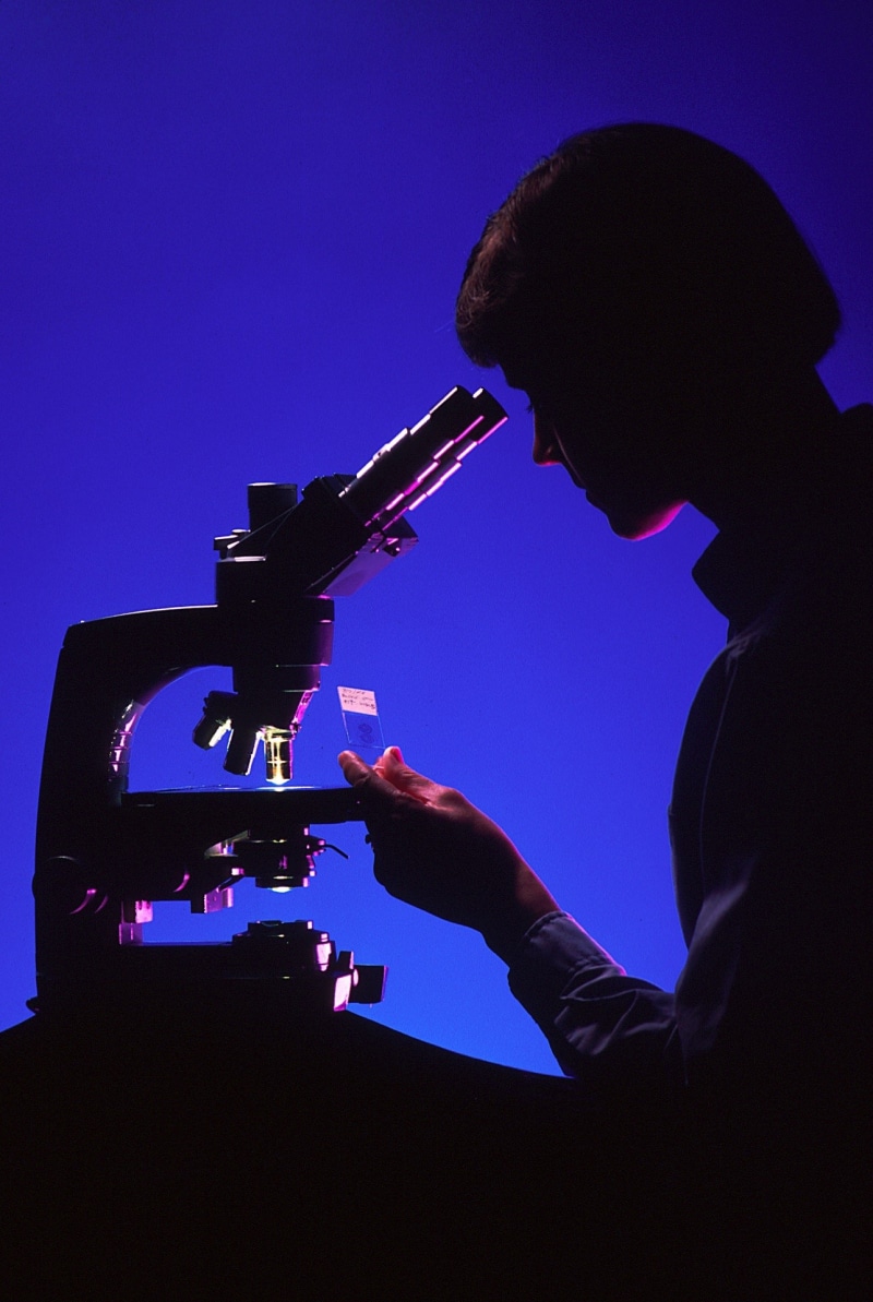 biology, leisure activity, blue, silhouette, portrait, specimen, female, working, microscope, medical, one person, arts culture and entertainment, waist up