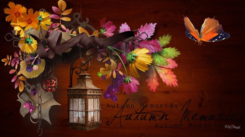 1080P, memories, lantern, berries, fall, orange, swag, leaves, fleurs, bouquet, papillon, butterfly, flowers, ribbon, autumn