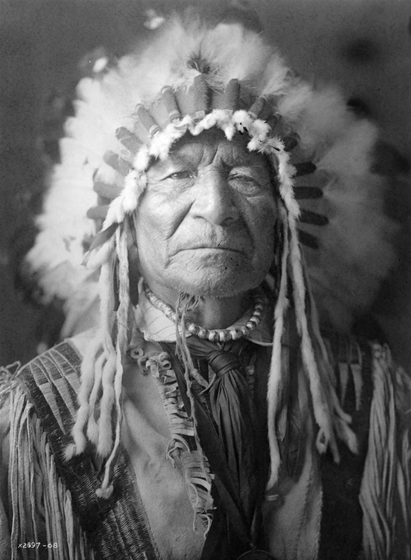 grayscale, chief, native american, males, man, arts And Entertainment, antique, flower, adult, close-up, individuality, native, indo-americans, looking at camera