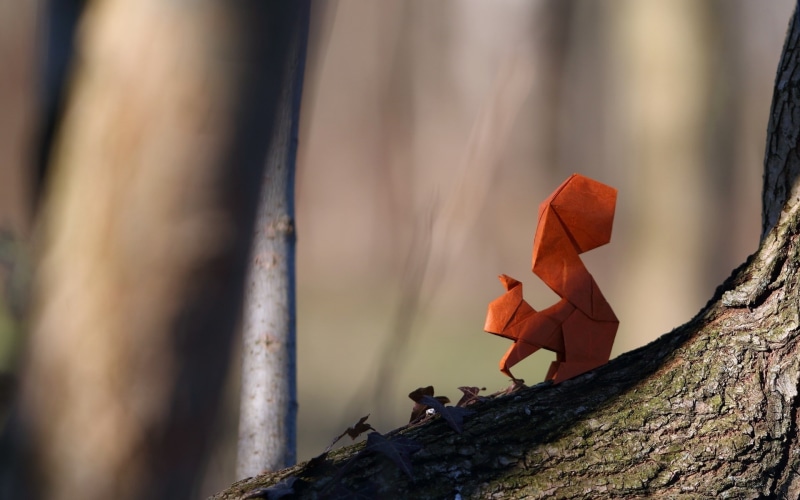 1080P, origami, paper, squirrel