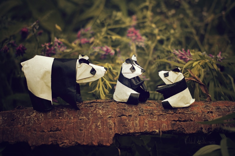 panda, tree, selective focus, rock - object, representation, nature, outdoors, clothing, no people, leaf, 1080P, rock, solid, animal, growth, close-up