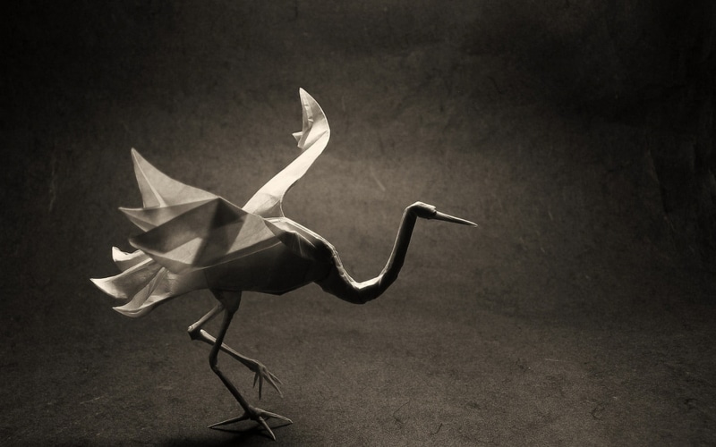 close-up, 1080P, animal wildlife, studio shot, bird, photography, vertebrate, decor, nature, indoors, day, origami, dark, flying, no people, artwork, one animal