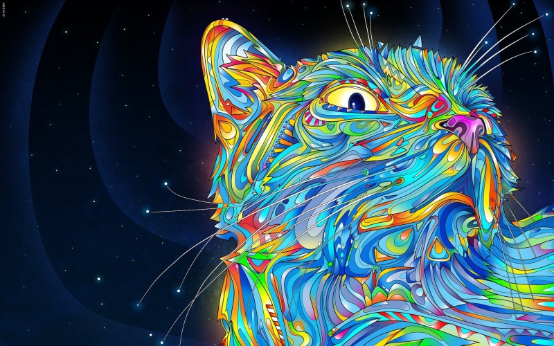 1080P, artwork, Matei Apostolescu, abstract, cat, animals, psychedelic, colorful