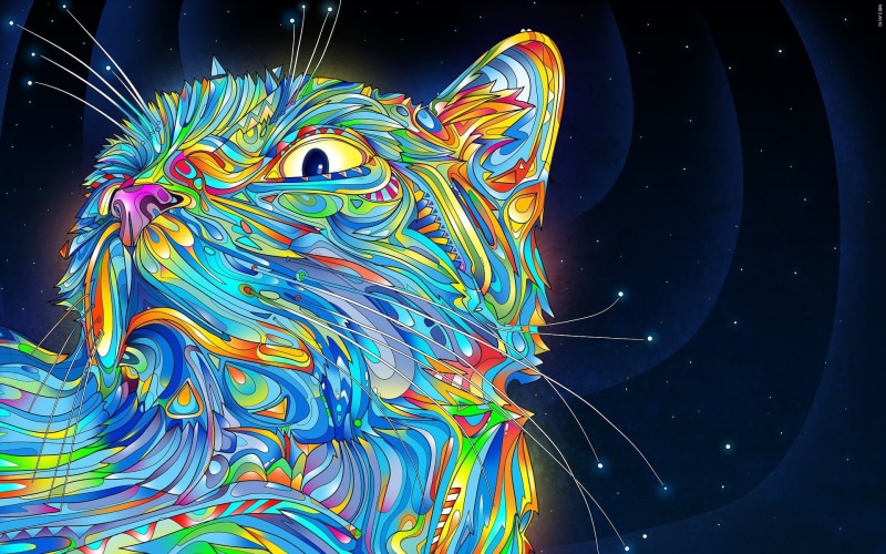 water, vertebrate, nature, animal themes, close-up, star - space, 1080P, multi colored, creativity, animal wildlife, space, motion, night, outdoors, animals abstract matei apostolescu cat psychedelic colorful