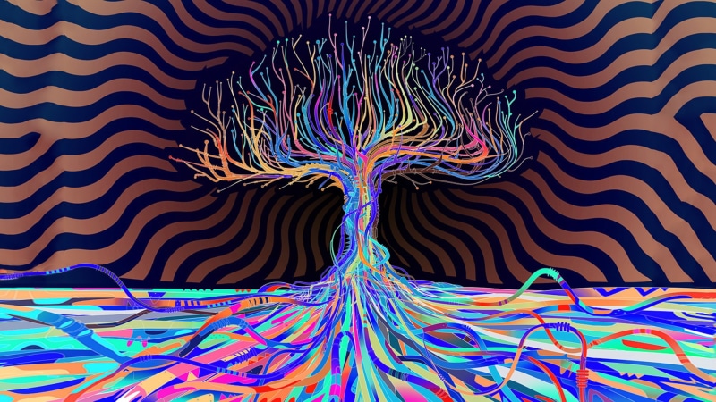 LSD, Matei Apostolescu, 1080P, Trees, abstract