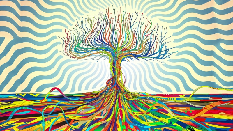 psychedelic, 1080P, Matei Apostolescu, Wires, Trees, abstract