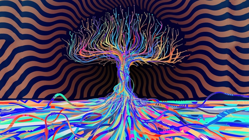 backgrounds, no people, Trees, complexity, connection, anatomy, creativity, education, Matei Apostolescu, abstract, technology, close-up, LSD, 1080P, vibrant color