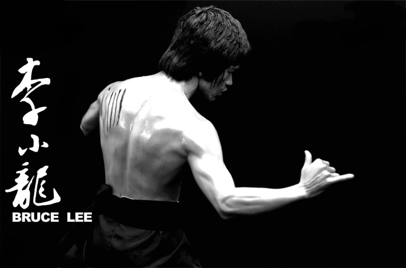 idol, chest, karate, leisure activity, isolated On Black, adult, men, standing, martial Arts, muscular Build, action, one Person, human Muscle, athlete