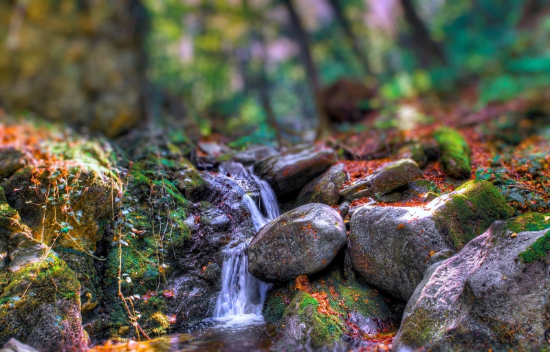 forest, trees, autumn, 2K, river, rocks, water, rocky, special effects, stones, stream, fall