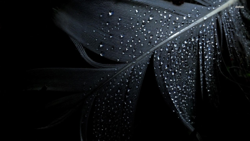 dark, droplets, water drops, 1080P, feather