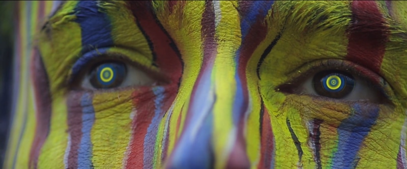 sensory perception, 2K, pupil, full frame, body art, looking at camera, portrait, close-up, human face, iris - eye, eyes, special effects, one animal