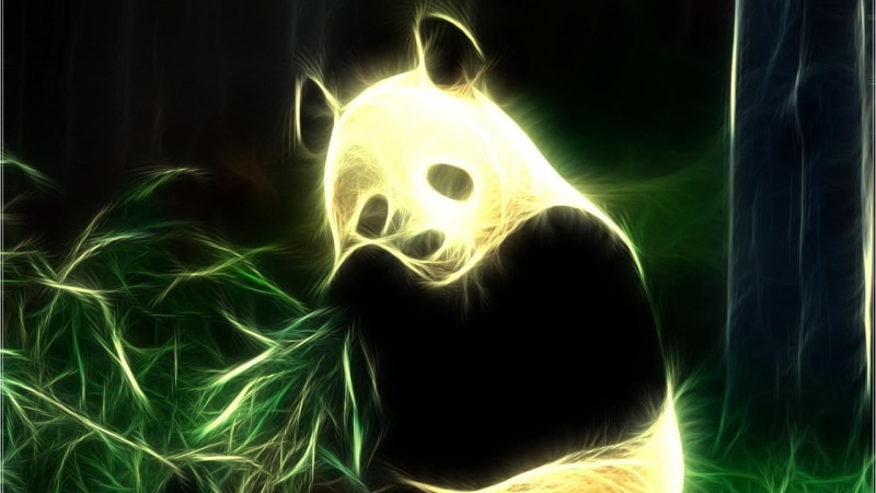 body part, night, special effects, digital art, human body part, spooky, human hand, fictional character, illuminated, one person, adult, 1080P, panda