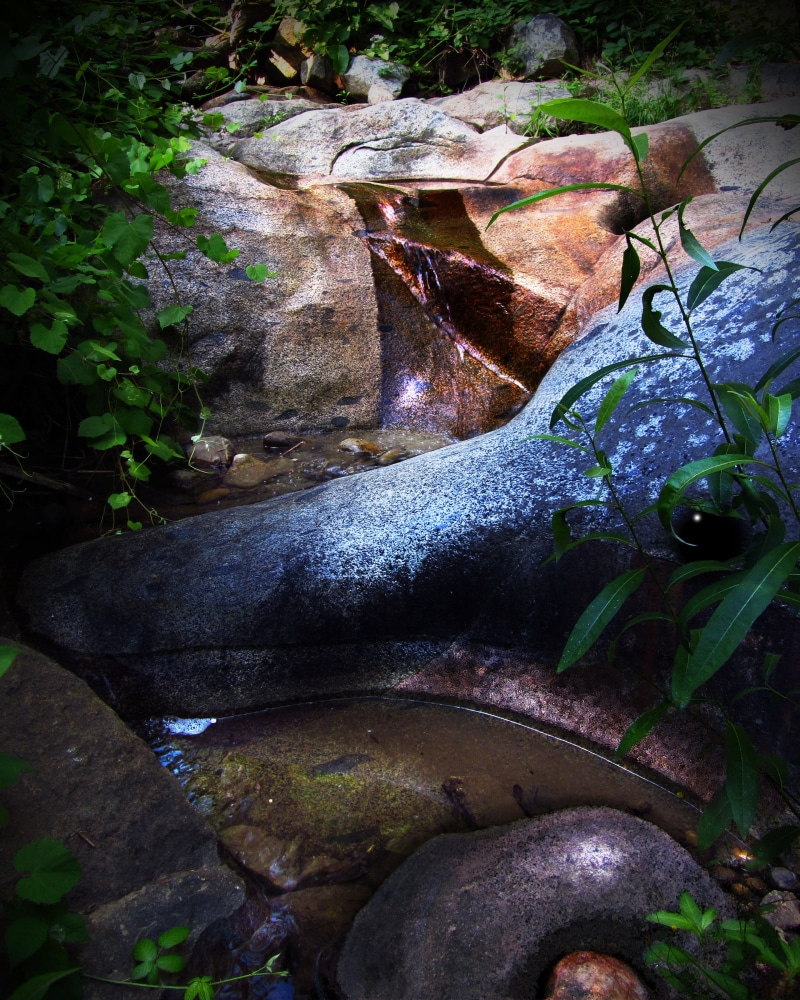 photo art, outdoors, flowing water, nevada city, forest, rock formation, special effects, plant part, solid, leaf, dolphin, high angle view, california