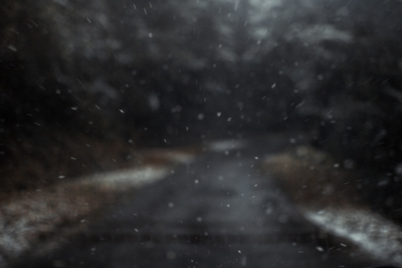 tree, roadtrip, cold - Temperature, 4K, outdoors, abstract, nature, blur, rain, no People, backgrounds, ice, white, space, winter, forest, snowfall, snowing
