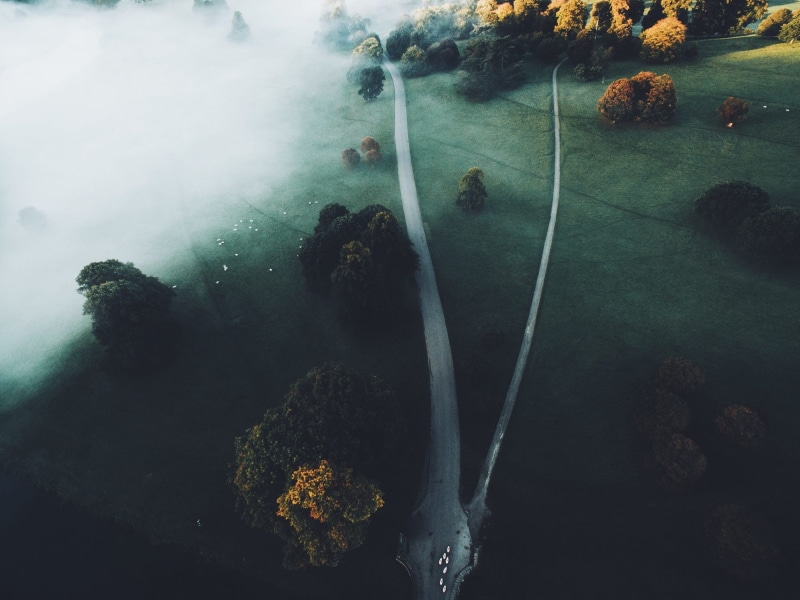 mist, freshness, 1080P, green color, underwater, road, growth, day, plant, water, rock - object, drone, landscape, undersea, no people, outdoors, close-up